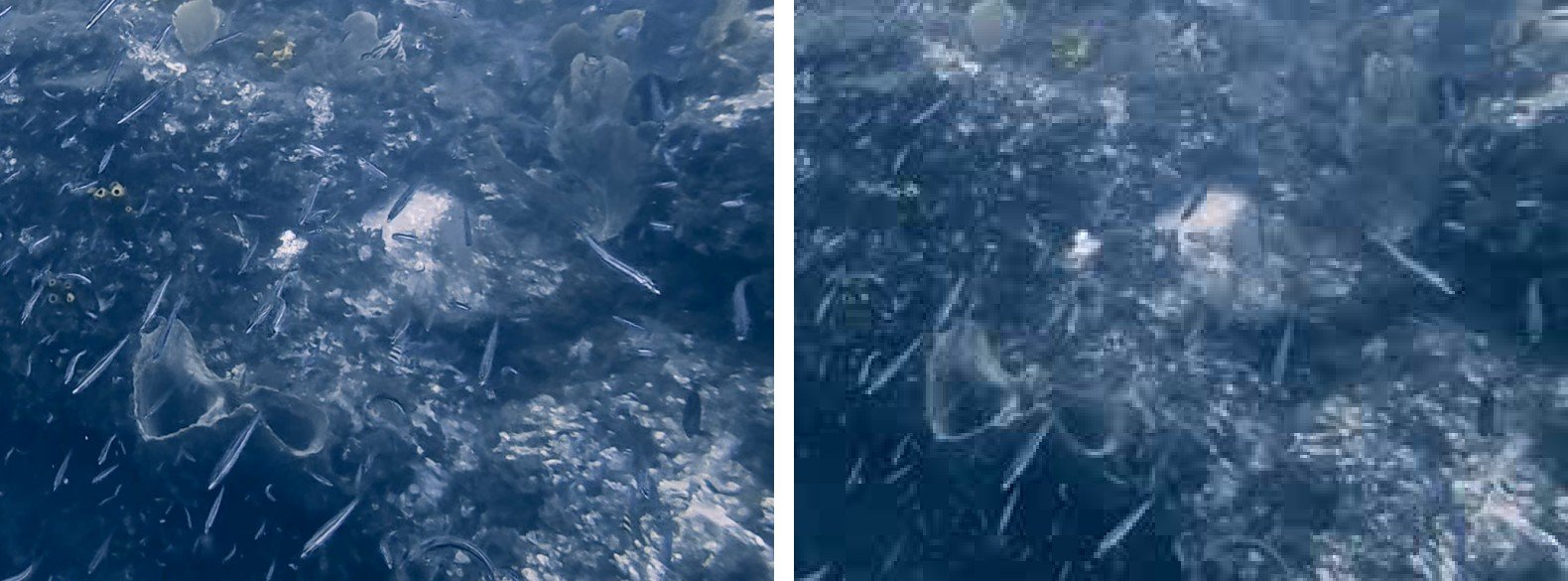Close-up of the same reef area, original video on the left and restored video on the right, showing JPEG blocking and loss of fine detail in the restored frame