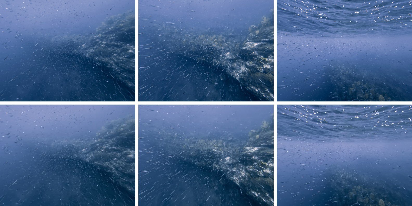 Three frames of an underwater video, original on top and restored after encoding, simulated print-and-scan and decoding on the bottom